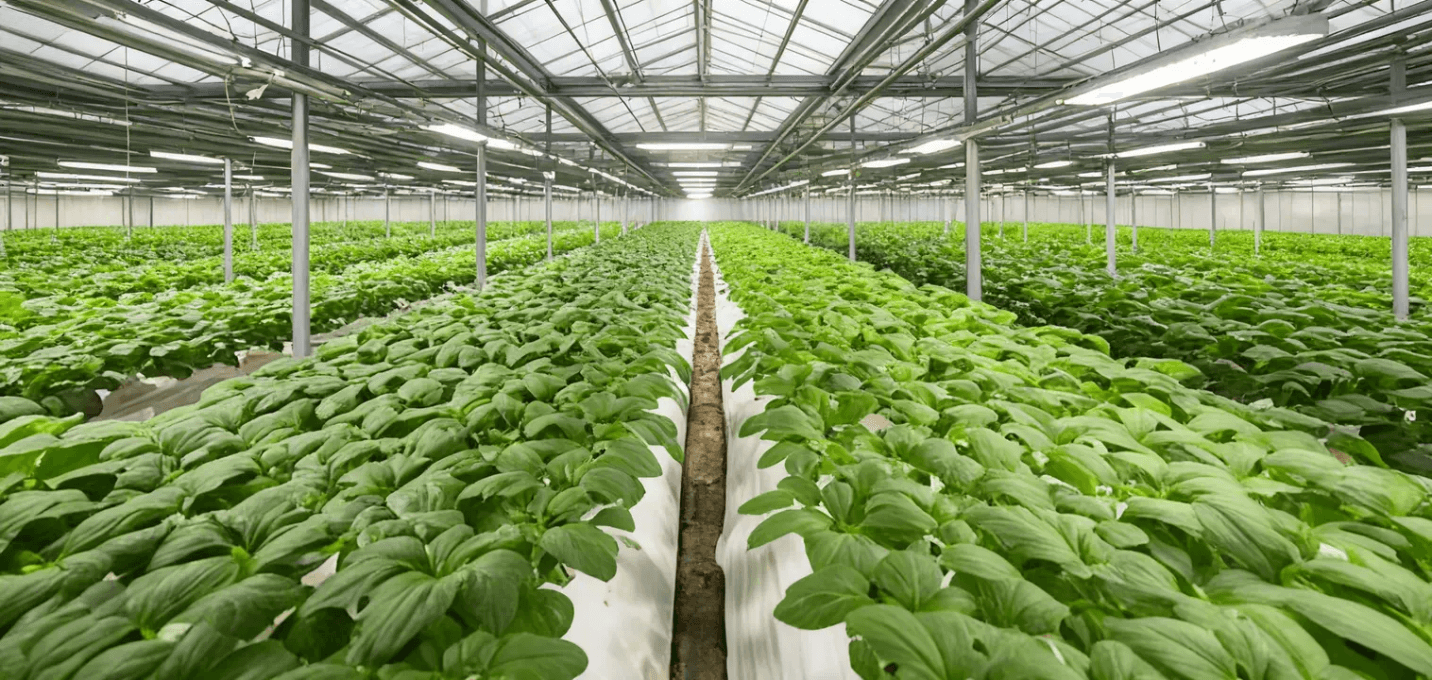 Smart irrigation system using solar power in a farm