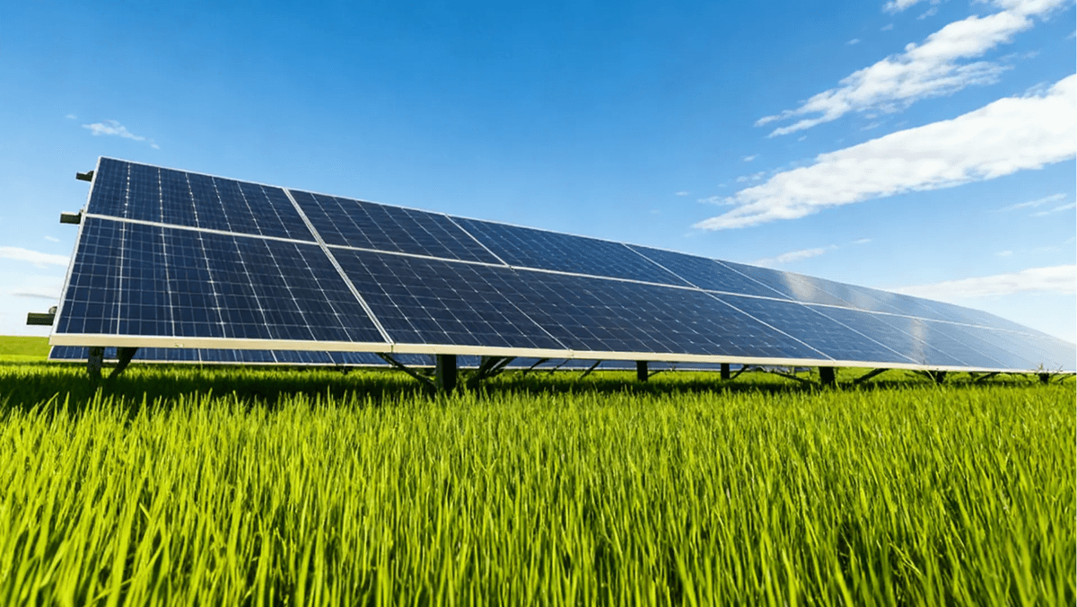Solar farm in a large green field