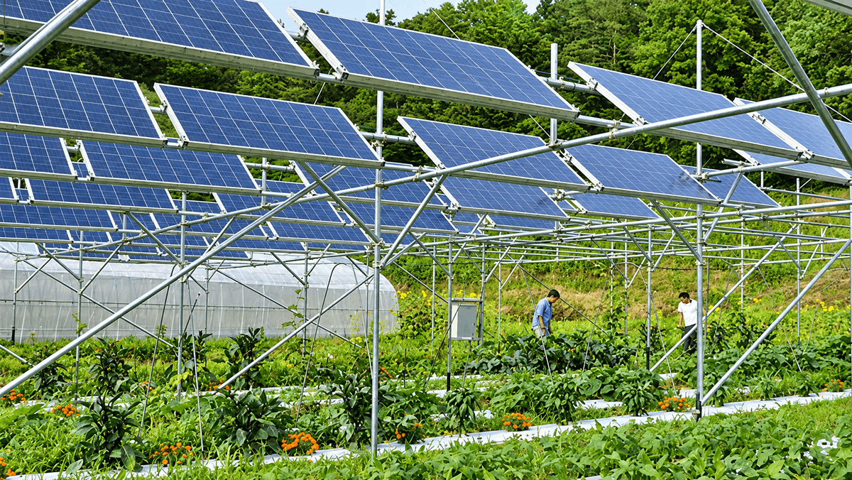 Solar farm in a large green field